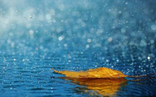 Stt về mưa lãng mạn
