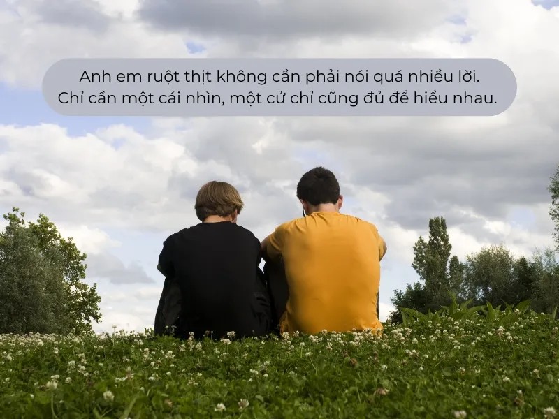 stt hay ve tinh anh em ruot thit voh 1 155018 1