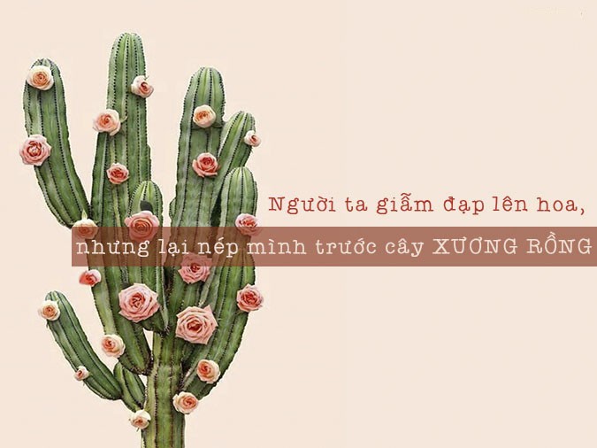 Nhiều người đang tham gia hoạt động trồng cây xanh