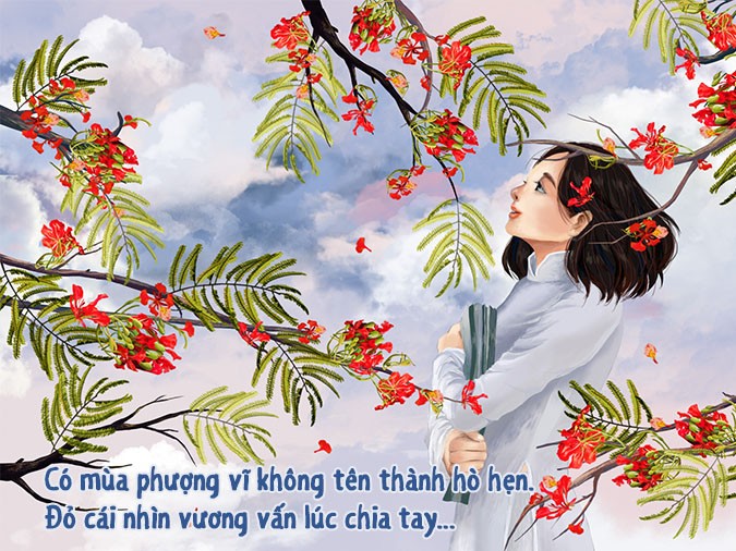 Cây xương rồng với những chiếc gai sắc nhọn