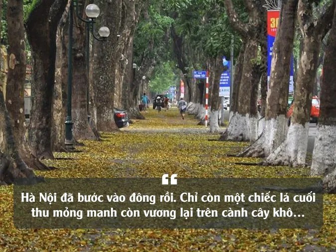 Khung cảnh mưa buồn tại Hà Nội