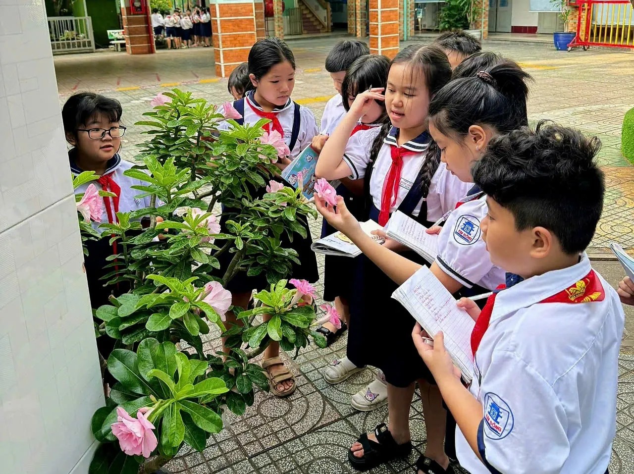 Tiết tập làm văn được học ngoài vườn trường của cô trò lớp 4/8 Trường tiểu học Kim Đồng, Q.Gò Vấp, TP.HCM.