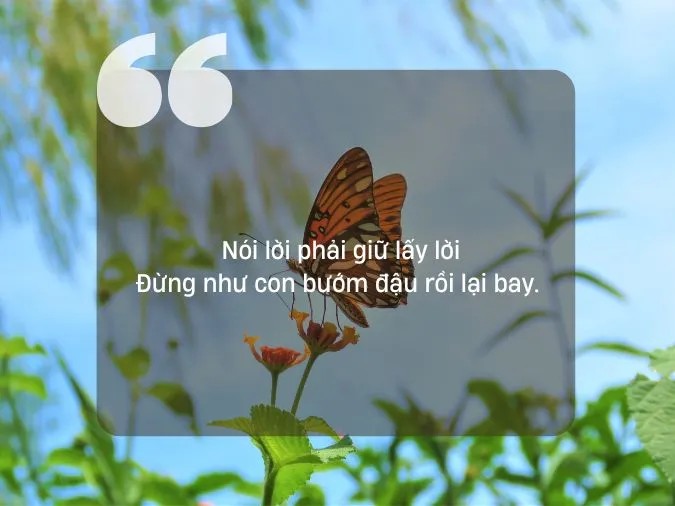 Lừa đảo kiếm lời