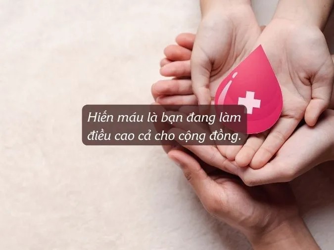 cau noi hay ve hien mau 1 1