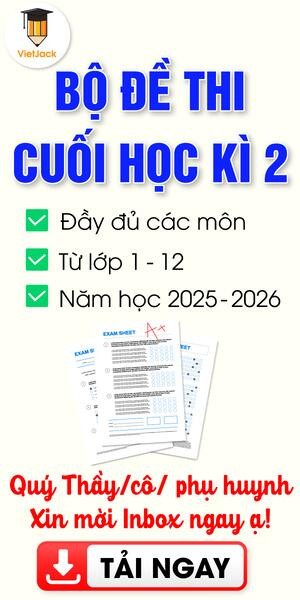 dehocki 1