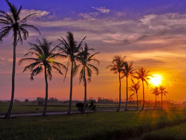nhungcaunoihayvequehuong120191104224610 1