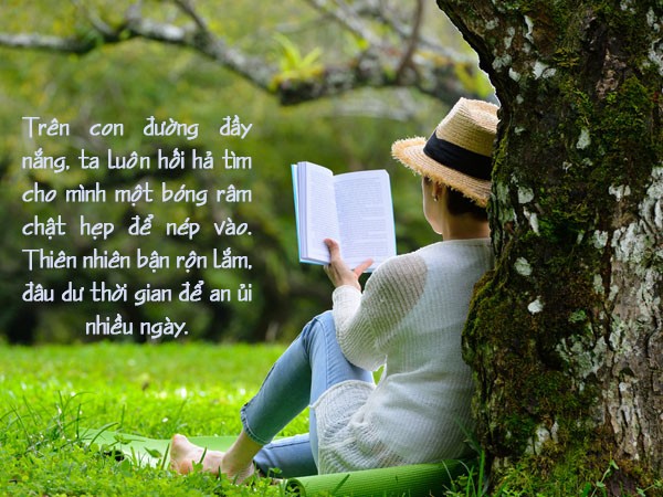 Những câu nói hay về thiên nhiên truyền cảm hứng