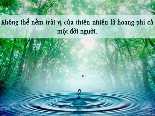 Cảnh thiên nhiên tươi đẹp với núi và sông