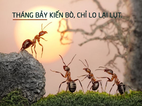 Cảnh thiên nhiên với những đám mây