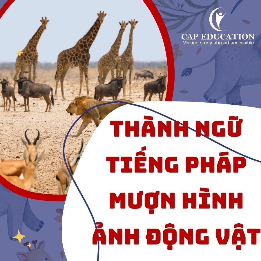 Thành Ngữ Tiếng Pháp Mượn Hình Ảnh Động Vật