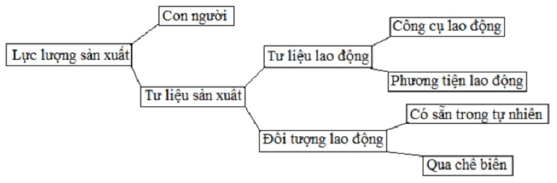 Cấu trúc của lực lượng sản xuất bao gồm người lao động và tư liệu sản xuất