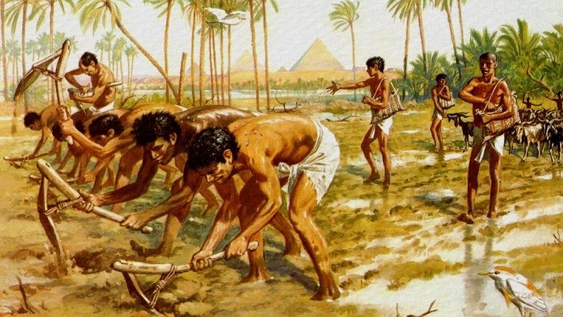 Nô lệ lao động dưới thời chiếm hữu nô lệ