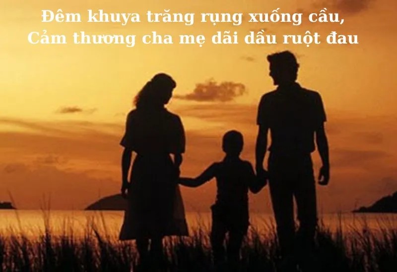 Thành ngữ tục ngữ nói về sự hiếu thảo của con cái với cha mẹ