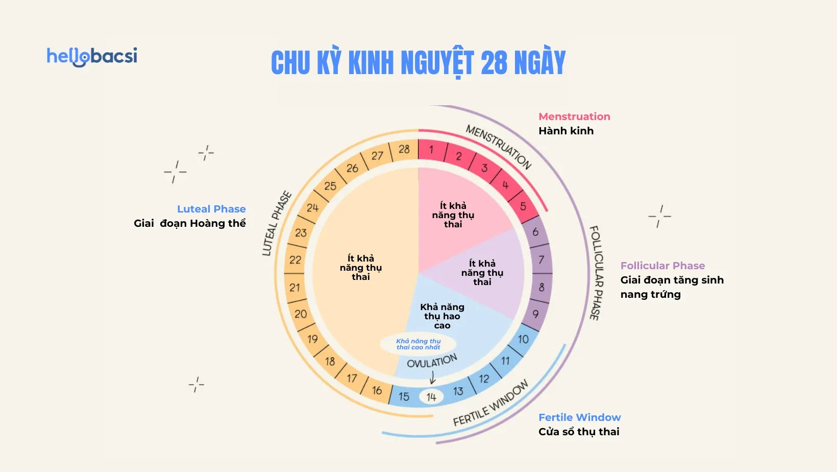 Quan hệ vào thời điểm rụng trứng sẽ làm tăng tỷ lệ mang thai
