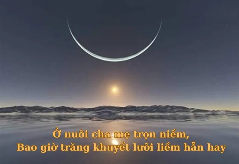 Tục ngữ về lòng hiếu thảo