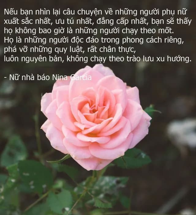 Câu nói hay và ý nghĩa tôn vinh phụ nữ hiện đại