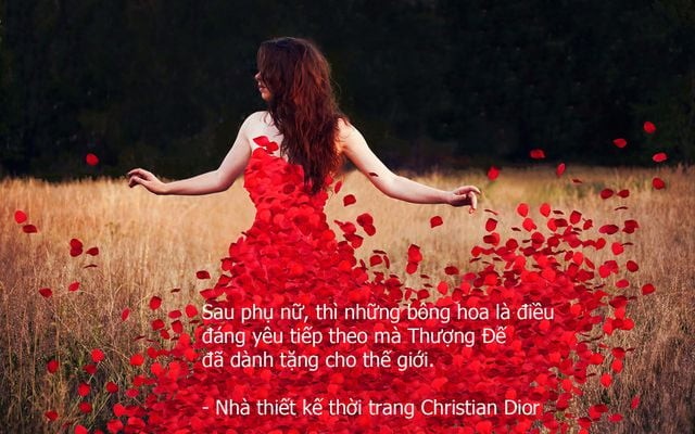 Câu nói hay, Caption 20/10 đăng mạng xã hội