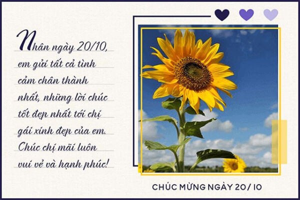 Những lời chúc 20/10 cho chị gái hay nhất