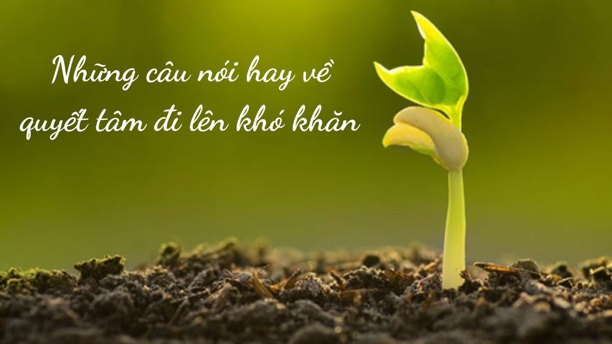 Những câu nói hay về quyết tâm đi lên