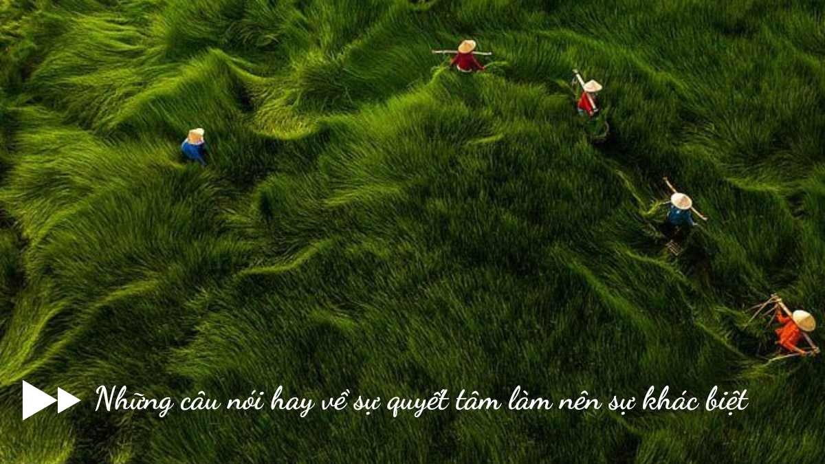 Những câu nói hay về sự quyết tâm làm nên sự khác biệt