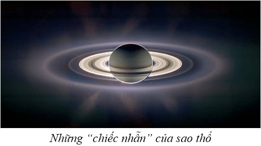 Từ phổ của nam châm cho thấy sự tập trung mạt sắt ở hai cực.