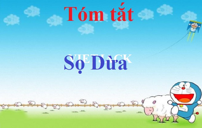 tom tat so dua abs1 1